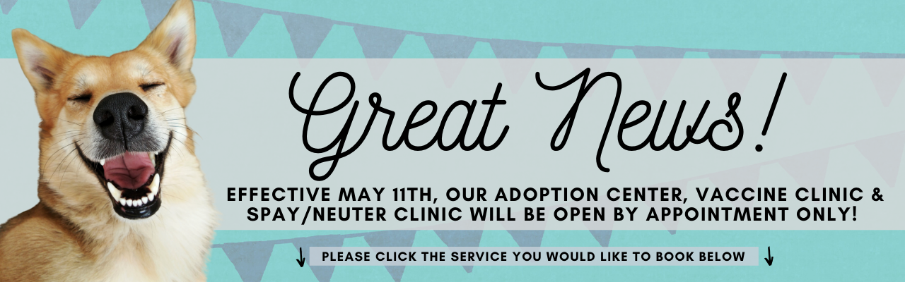 Greenville Humane Society | Greenville, SC